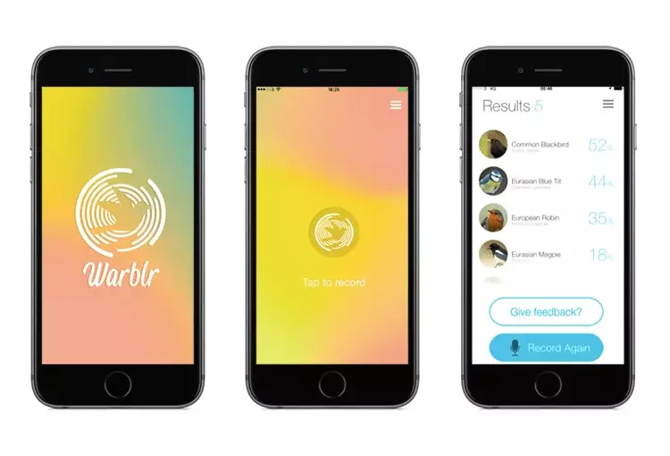 Warblr App: Shazam for Birds