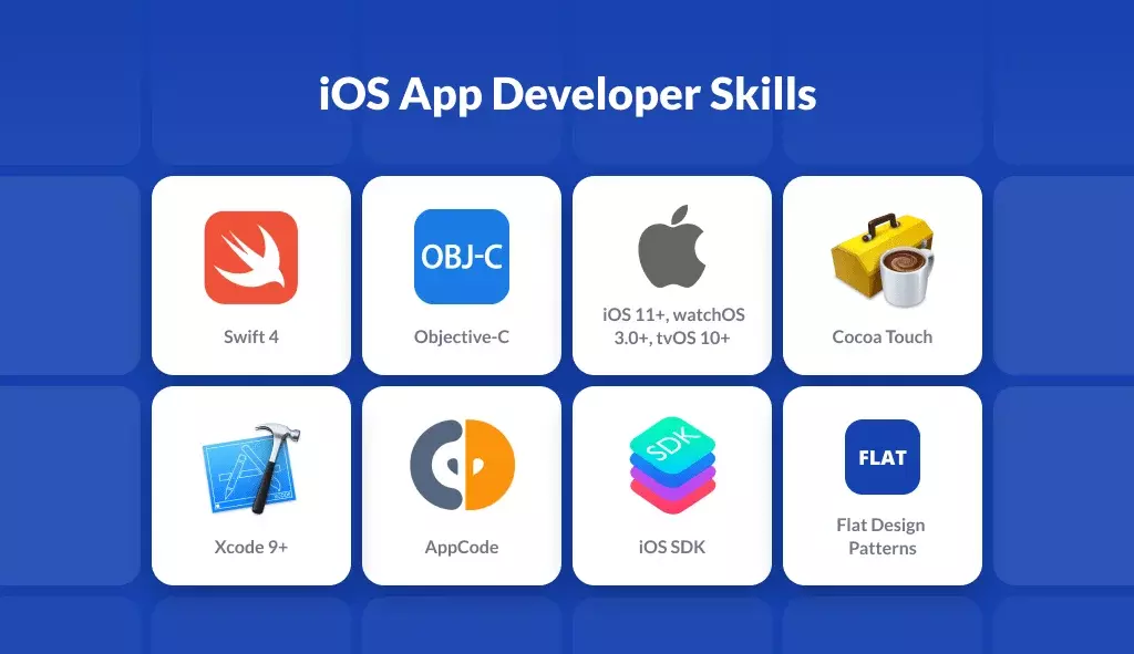 iOS App Developer Technical Capabilities